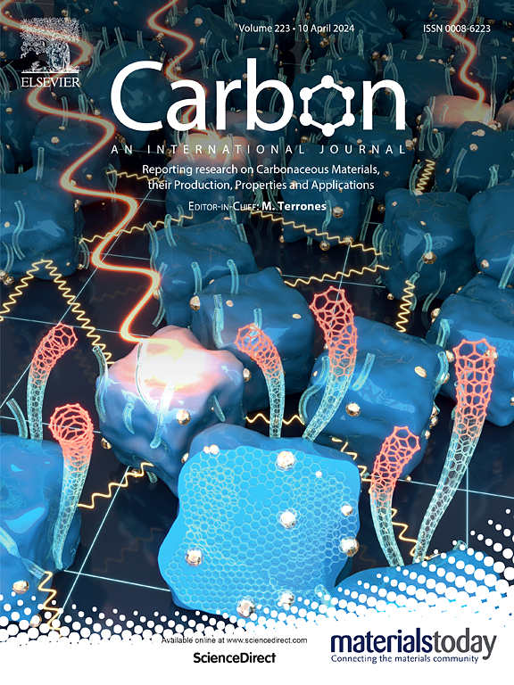 Carbon Journal Prize 2024